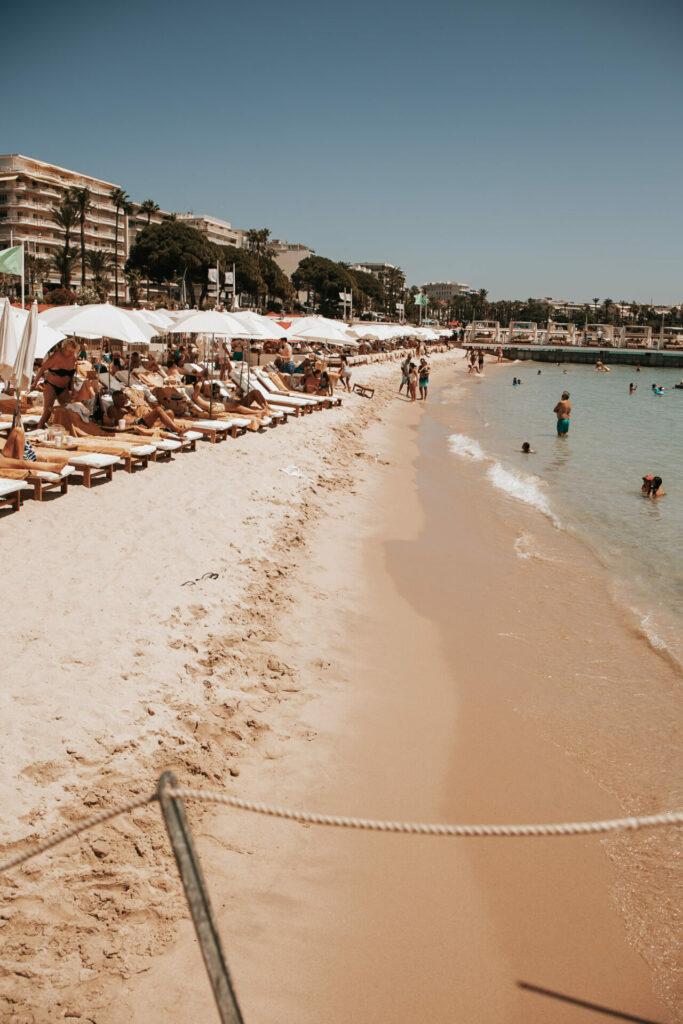 photo-culinaire-restaurant-cannes